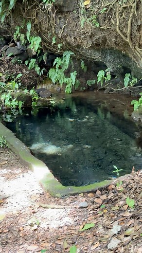 178K views · 1.2K reactions | Nacimiento de agua cristalina  San Antonio del Monte, Sonsonate #elsalvador | Aventuras Con Erick | Facebook