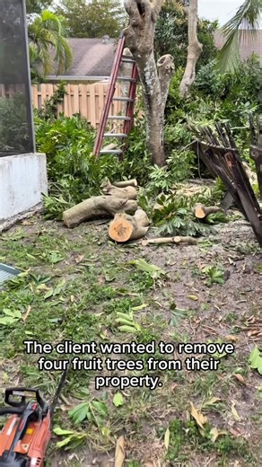 Spark does it all #generalcontractor #landscaping #tree #cutting