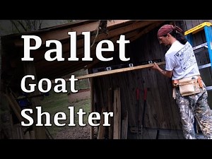 Build a Goat Shelter With Pallets