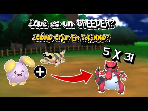 ⚡ How to Breed a 5x31 Pokémon with Nature | Breeding Guide in PokeMMO 🎃