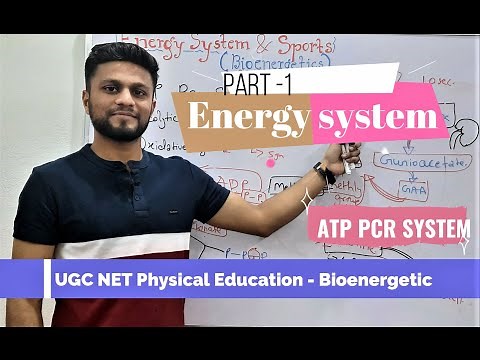 Energy System PART 1- ATP PCR System, Biochemical aspects of exercise-UGC NET Physical Education.