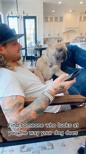 Dogs, have unique and endearing ways of showing affection. Here’s how they typically express their love:🐕🐩🐶 #FuryFriends | Peter Gagiano