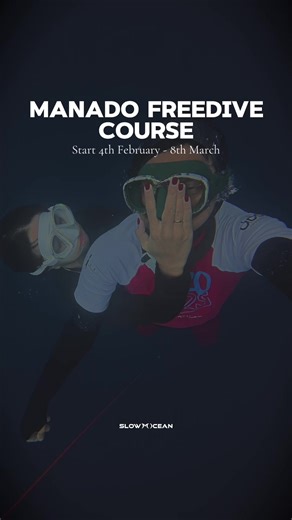 If you’ve been thinking about taking a freediving course at Manado this is your sign. . Our courses are designed for complete beginners or anyone who wants to improve their technique, safety, and confidence underwater. You’ll learn proper breathing, equalization, duck dives, safety skills, and of course… how to enjoy the ocean with less effort and more awareness. . We’re a Molchanovs-licensed school, and we keep our classes small for a more personal and safe experience. . Location: Manado Gear i