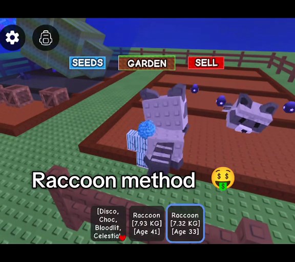 RACCOON METHOD grow a garden ! script codes #growagarden #growagardenroblox #growagarden🥒🌶🍅 #roblox #fyp #robloxfyp