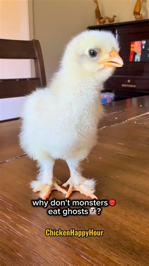 110K views · 38K reactions | Why don’t monsters eat ghosts?!  #jokes #halloween #dadjokes #halloween2025 #comedy #chickens #babychicks #funnyanimals #chickenhappyhour Original audio @brittikitty  | Chicken Happy Hour | Facebook