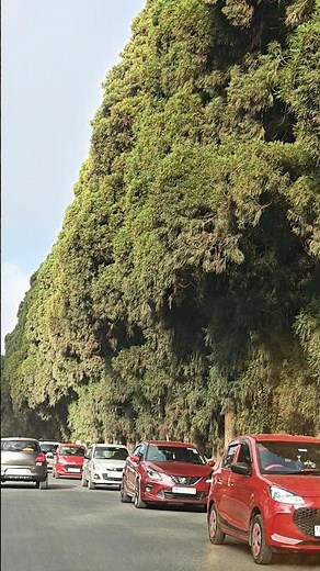Shillong: The Most Magical Place on Earth
