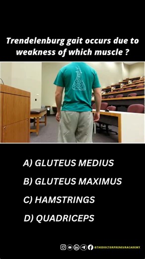The Doctorpreneur Academy on Instagram: "DO YOU KNOW IT? Share it if you Know. Correct Answer: A) Trendelenburg gait happens when the hip abductor muscles, mainly the gluteus medius, are weak. 🍑🚶 The pelvis drops on the opposite side while walking, creating a side-to-side hip-drop motion. ➡️⬅️ It’s common in hip dysplasia, nerve injuries, or after hip surgery. 🦴⚠️ People often lean toward the weak side to make walking easier. 🧍‍♂️➡️ #orthopedics #gaitanalysis #medicalstudents #physiotherapy 