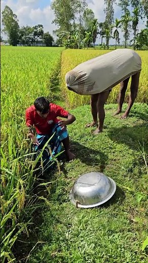 The bowl makes a clanking sound.