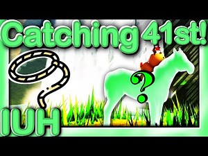 CATCHING My 41st IUH - 1/23/25 - Wild Horse Islands Roblox