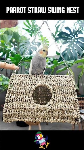 Parrot Straw Swing Nest Toy