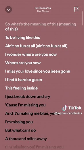 I'm Missing You: Full Lyrics and Translations