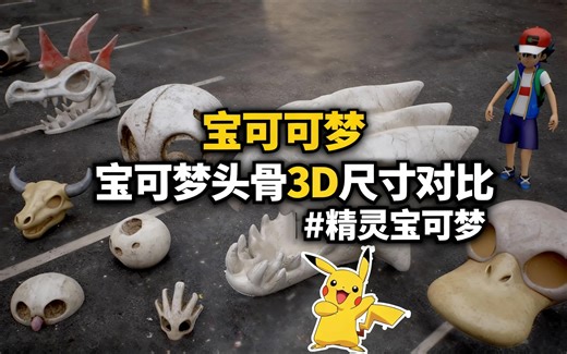 [中配]宝可梦头骨3D尺寸对比 | #精灵宝可梦 - Data Ball