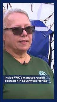 Inside FWC's manatee rescue operation