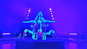 蒙柔X-roses（2016版）