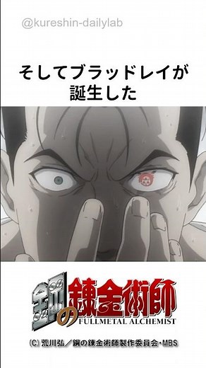 【鋼の錬金術師】キング・ブラッドレイ誕生の真実…#鋼の錬金術師 #ハガレン #キングブラッドレイ #ホムンクルス #賢者の石 #ラース #アニメ解説 #神回 #ダークファンタジー #名作アニメ