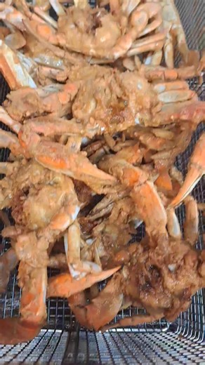 7.9K views · 103 reactions | THIS SATURDAY PORT ROYAL SOUTH CAROLINA SOFT SHELL CRAB FESTIVAL 11AM UNTIL 5PM | Belly Full by Tyger | Facebook