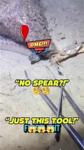 Hunting a Moray Eel in the Deep Sea!