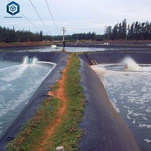 [Hot Item] 30mil Rpe Liner High Density Polyethylene HDPE Pond Liner Water Tank Membrane Geomembrane for Fish Shrimp Farming in Indonesia