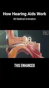 How Hearing Aids Work