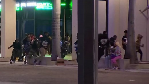 4 teens arrested after large fight caused chaos in Bayside Marketplace on New Year's Day