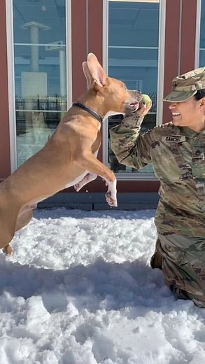 4.5K views · 177 reactions | Thank you to National Guard volunteers who built us a new chicken coop after our last one was destroyed by snow! Carson City’s shelter includes animal control, so they have to be prepared for a wide range of animals. While snow isn’t great for chicken coops, it is awesome for dogs. They made time to take some of our pups to the play yard. ❤️ #nevadahumanesociety #adopt #volunteer | Nevada Humane Society | Facebook
