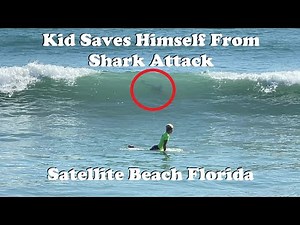 Kid Saves Himself From Shark Attack in Florida