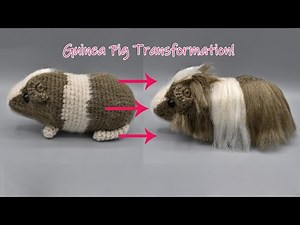 Adding Long Hair to Theo the Guinea Pig (Time-Lapse)