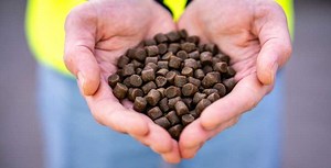 18 FEED MILLS ACHIEVE ASC FEED CERTIFICATION SO FAR IN 2025