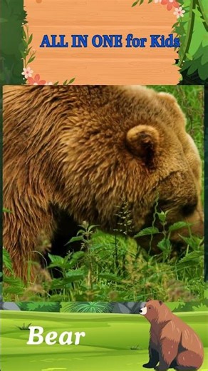 bear sound #bearsound #animalsnamesandsounds #animals