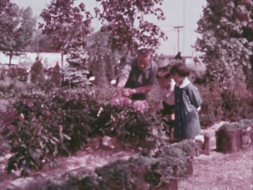 Spring Petunias and Botany: A Plant Nursery Exploration