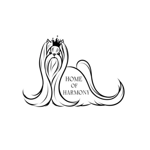 3.4K views · 143 reactions | Guten Moooorgen 珞珞珞珞 Ich liebe unser Logo so sehr und für unsere eigene Musik bin ich sehr dankbar 殺 | Yorkshire Terrier vom Home of Harmony | Facebook