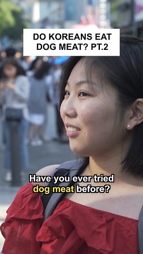 112K views · 928 reactions | Breaking down stereotypes one interview at a time: Do Koreans really eat dog meat? We asked some locals if they ever tried eating it before. #korea #dogs #stereotype #asia #asianboss #staycurious | Asian Boss | Facebook