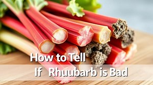 how to tell if rhubarb is bad? - Test Food Kitchen