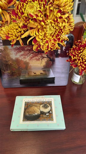 🥀SOLD💐Video for archive 🍒Ordered from the USA 🇺🇸 🍅Lesley Anne Ivory’s Collectible Cats (A Book to keep and 15 different Cards to send) 🍉First Published in the USA in 1992 by Chronicle Books 🍏Printed in Hong Kong