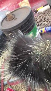 I’ve finally made a home for all of the adventures I’ve been storing on my devices. I’ll start with one of my porcupine clips. Quality will go up if I ever learn to edit. | Wild Ideas with Brian