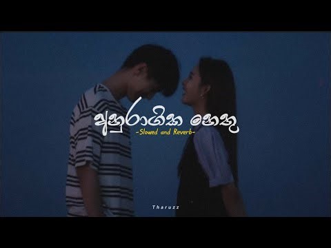 අනුරාගික නෙතු | Anuragika Nethu - Maharaja Kansa Theme Song (Slowed and Reverb)