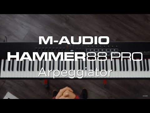 M-Audio Hammer 88 Pro || Arpeggiator Overview