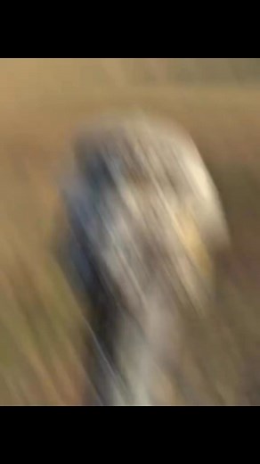 Custom camo “WIFEY” snapback hat • Cream/khaki crown with oversized arched “WIFEY” embroidery in Realtree-style camouflage fabric outlined in black for a bold, raised look • Bill is full Realtree camo (classic tree-bark pattern in browns, tans, and grays) • Structured high-profile fit with a flat bill and classic green undervisor • Adjustable plastic snap closure • Perfect blend of country/outdoors vibe and bridal/wifey energy – ideal for honeymoons, bachelorette weekends in the woods, or just l