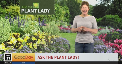 Ask The Plant Lady! (part 2) 8am