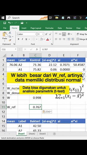 Uji Normalitas Shapiro-Wilk dalam Excel