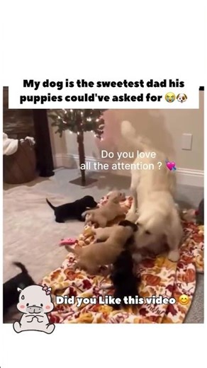 You realized parenthood is a 24/7 scam 😭💀🍼 #shorts #goldenretriever #funnydogs #dogdad #unexpected