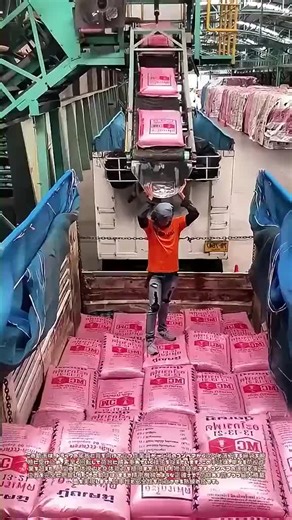 Explore the Future of Robotics with Balli Bot Mogis