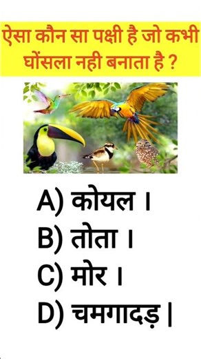 Birds GK questions #gk #generalknowledgequiz