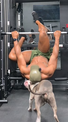 1.7M views · 107K reactions | Happy Birthday to the best dog a man can have! My best friend, my first born, my right hand I love you dude. 8 years old!!! You getting up there  #mansbestfriend | Jarell Carter | Facebook