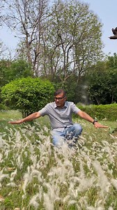 #উলু #উলুঘাস #উলুবন #Imperata_cylindrica | Md Azharul Islam Khan