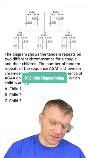 Understanding DNA Fingerprinting and Adoption Cases