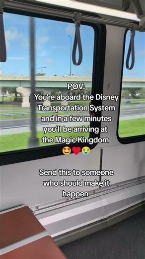 We're on our way to the Magic Kingdom