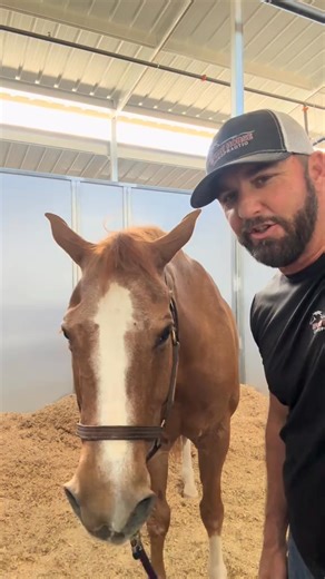 8.7K views · 81 reactions | Watch this hyoid release work wonders for...