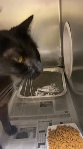 2.3K views · 112 reactions | URGENT - underweight with possible URI....