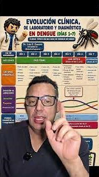 DENGUE: Explaining the disease phases and how it's diagnosed...